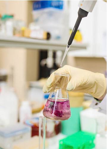 Laboratorio Clínico